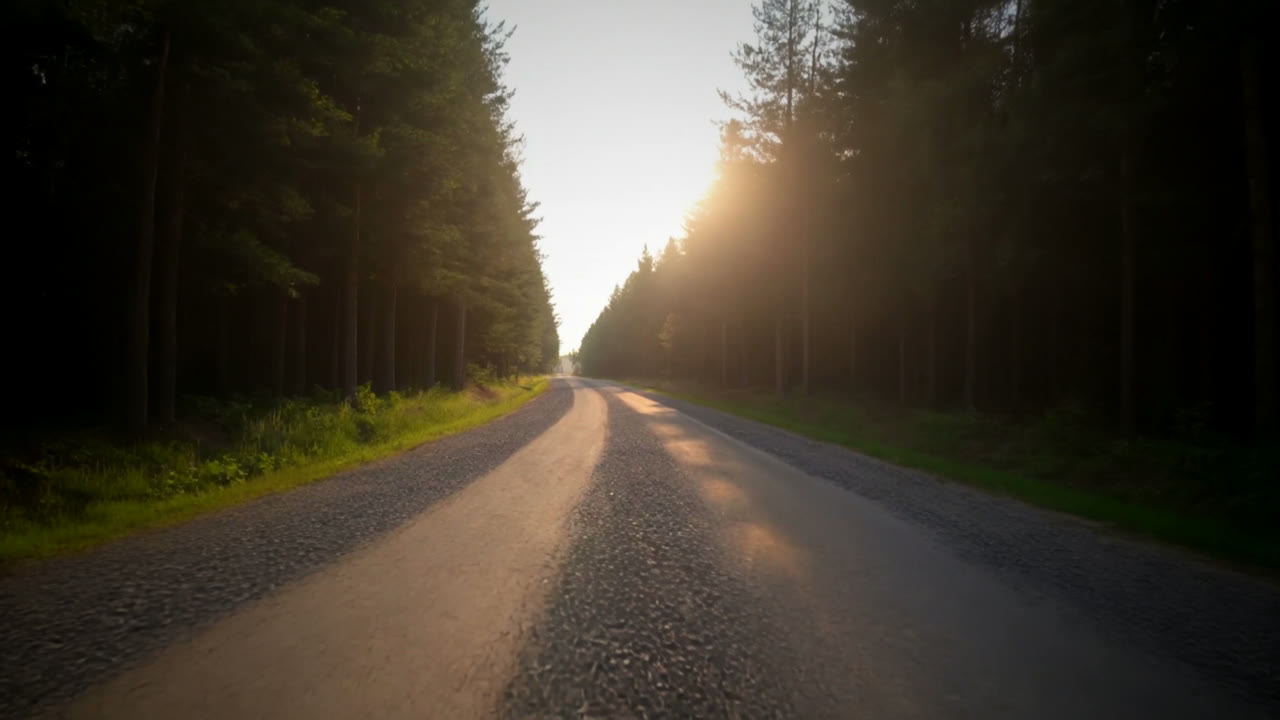 Eine Schotterstrasse durch den Wald, der Blick geht weit voraus.